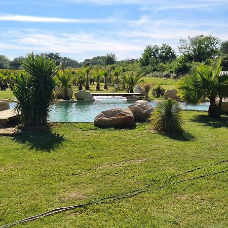 Le Mas Des Cerisiers Jacuzzi Et Sauna Inclus Pour Tous Les Logements アヴィニョン エクステリア 写真