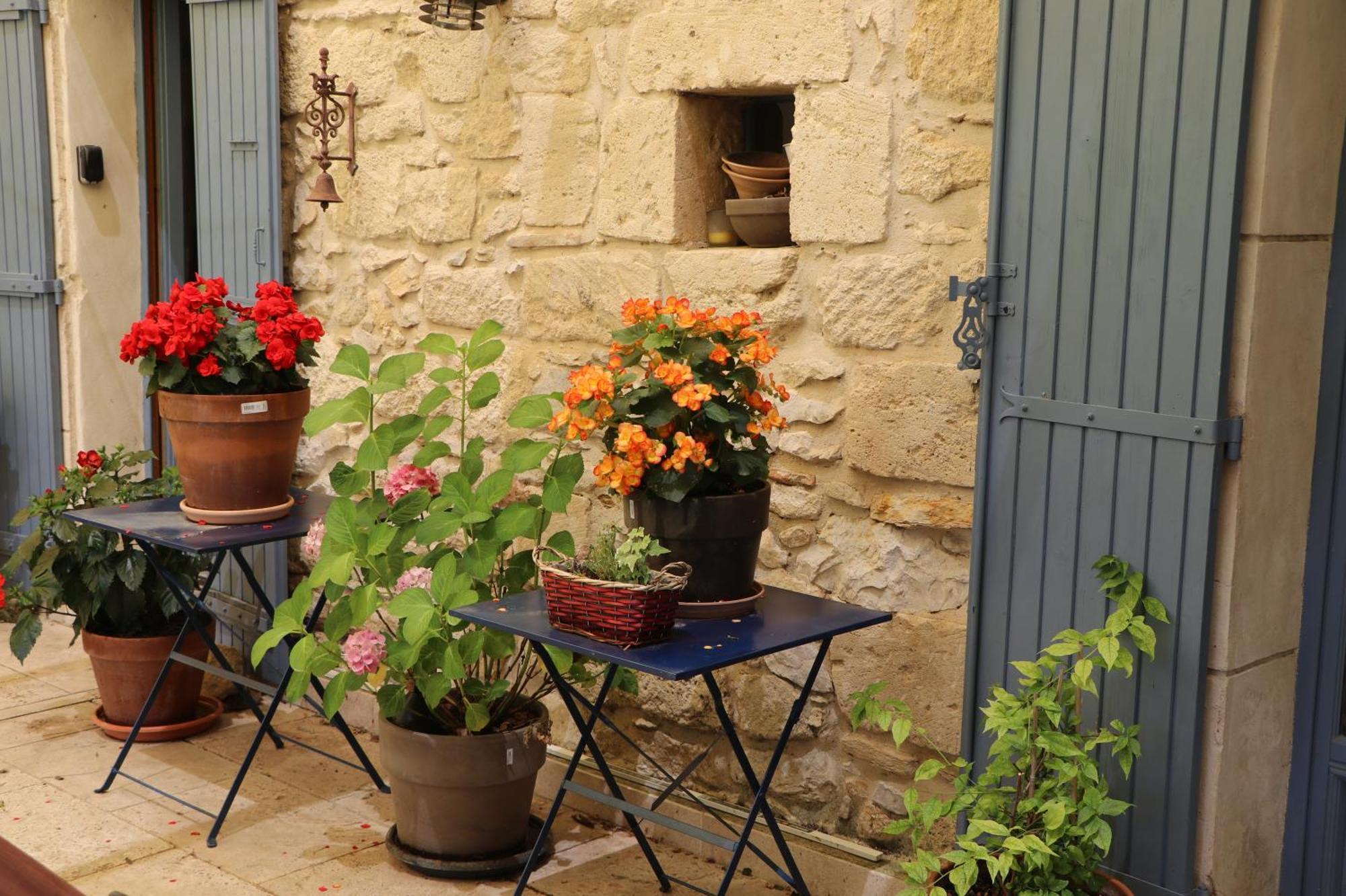 Le Mas Des Cerisiers Jacuzzi Et Sauna Inclus Pour Tous Les Logements アヴィニョン エクステリア 写真