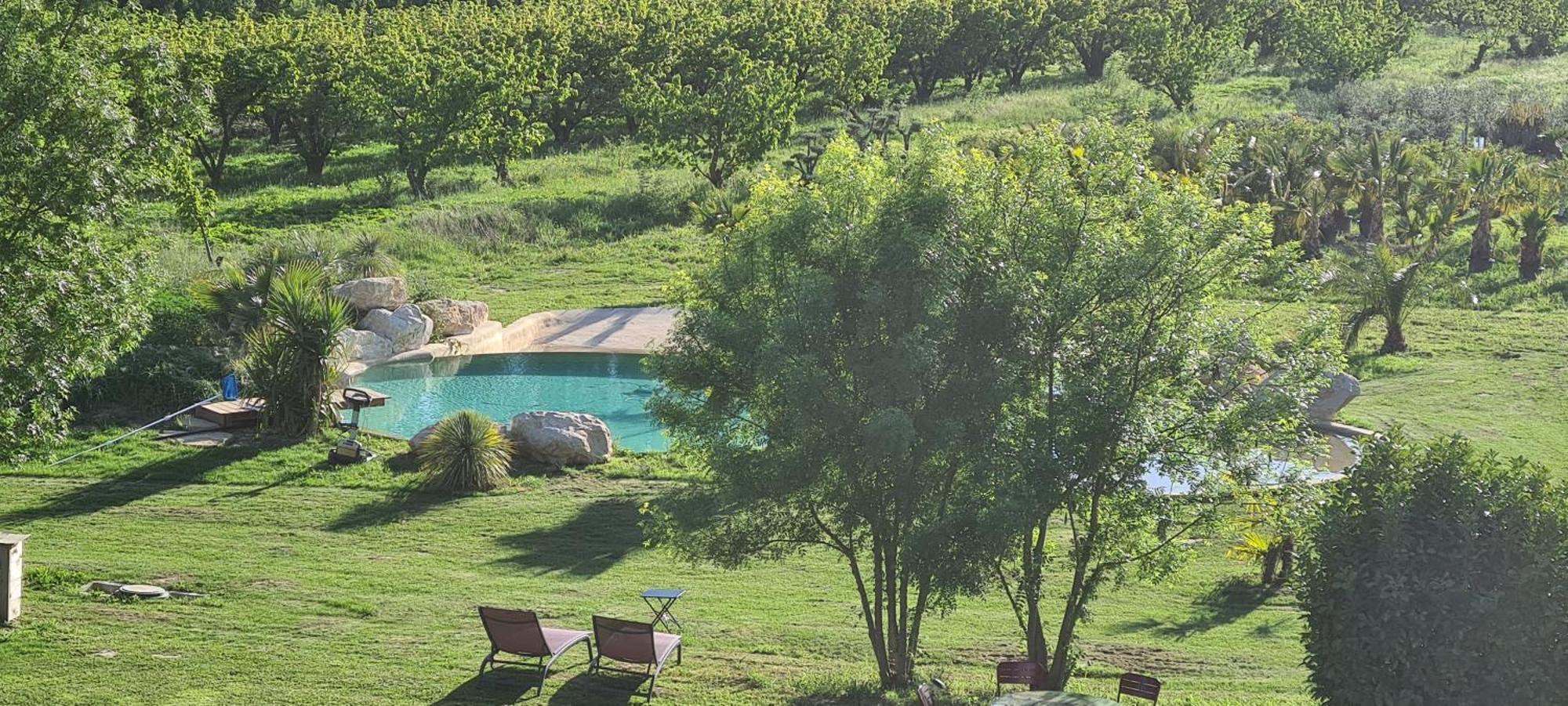 Le Mas Des Cerisiers Jacuzzi Et Sauna Inclus Pour Tous Les Logements アヴィニョン エクステリア 写真